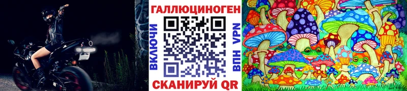 MEGA ТОР  Кодинск  shop состав  Галлюциногенные грибы Psilocybe 